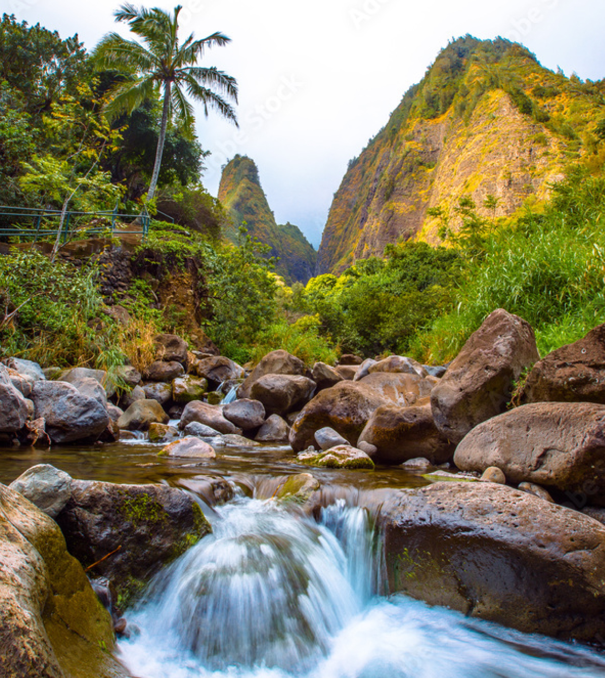 Maui