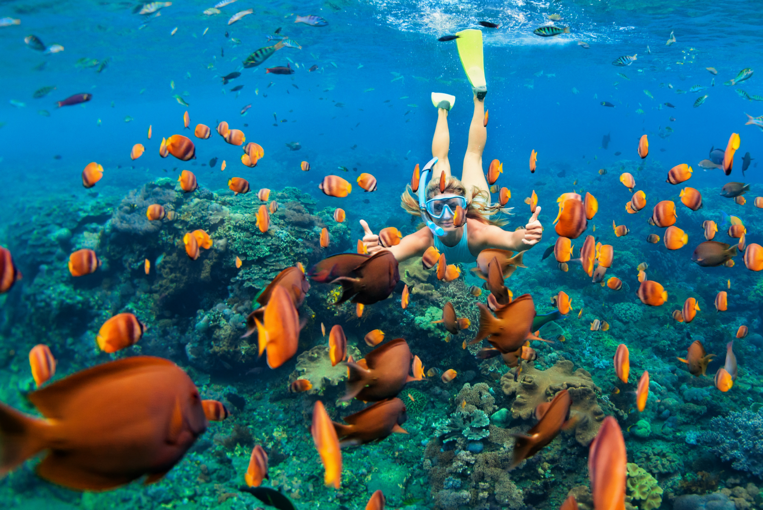 Snorkel Hawaii